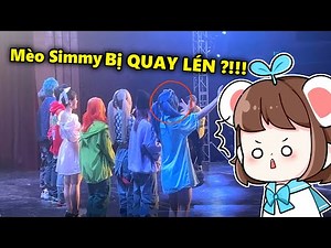 Mèo Simmy Bị Fan Lạ QUAY LÉN Tại Fan Meeting Hero Team ?!