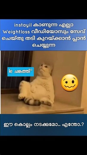 Nutrienzon | Certified Nutritionist | Weightloss expert on Instagram: "💯 Relatable..? ഫ്രീ ആയി 5 ദിവസം കൊണ്ട് വെയിറ്റ് കുറയ്ക്കണോ| ശരിക്കും ഒരു gamechanger വേണോ..?| Join NTP Community | metabolic decoding Fatloss program| വീട്ടിലെ ഫുഡ് കഴിച്ച് കൊണ്ട് ഈസി ആയിട്ട് വെയിറ്റ് ലോസ് ചെയ്യാം Dm For Trial #fatloss #fitness #healthylifestyle #foodie"