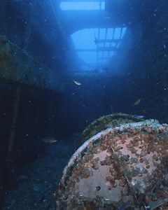 The ex-HMAS Tobruk has been underwater for exactly one year in the Great Sandy Marine Park, located between Hervey Bay and Bundaberg on Australia’s East Coast. This former amphibious heavy lift ship is now a divers’ playground, with plenty of nooks and crannies ripe for exploration. What will you find? Visit Queensland, Australia | Scuba Diver Life