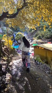 Chapter 1: The Science of Color Perception - The basics of how humans perceive color. - Cultural and psychological factors influencing color preferences. - How color trends evolve over time and across different demographics. of color prediction, suitable for further exploration and detailed analysis in academic or professional contexts. Chapter 2: Tools and Techniques for Color Prediction - Data-driven approaches: analyzing sales data, social media trends, and consumer behavior. - Color forecast