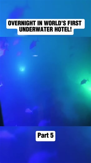 Experience a Night at the World's First Underwater Hotel