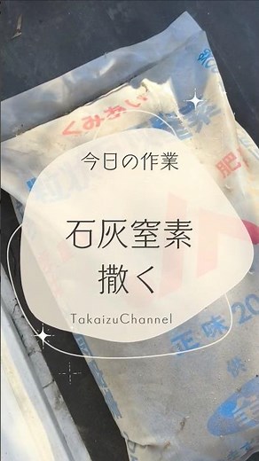 倉庫の奥に見つけた石灰窒素を撒く Spreading lime-nitrogen found in the warehouse #rice #japan #農業生活