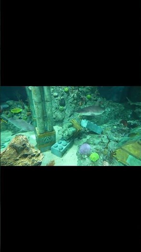 本物の水の中を潜るレゴ版海底2万マイル「サブマリンアドベンチャー」レゴランド 愛知県 #遊園地 ＃テーマパーク