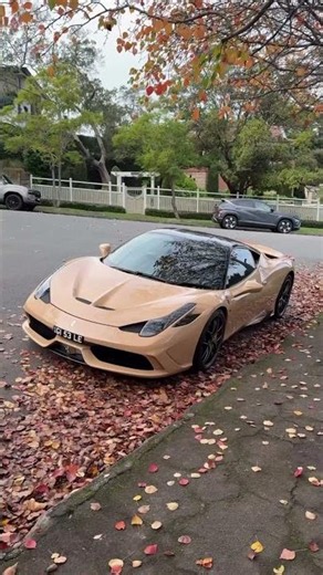 Day 47 of Collecting Car Fans 🏎️🔥 #ferrari #supercars #shorts