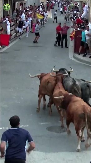 😵 ENCIERRO DE TOROS EN LA CALLE 2025