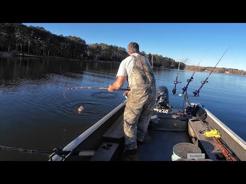 I Murdered The Fish At Murder Creek Lake Sinclair Georgia