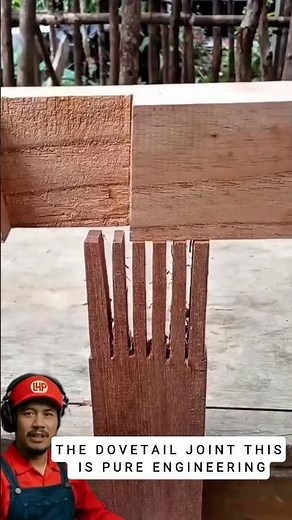 The Ultimate Woodworking Hack: DOVETAIL Wedge Lock #diy #woodworking