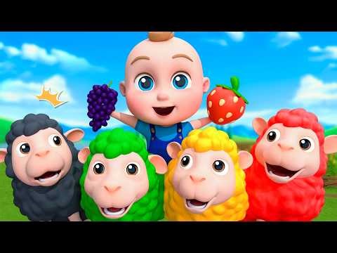 Baa Baa Black Sheep Song | Colors Song For Kids | Sumo Bo Nursery Rhymes & Kids Songs