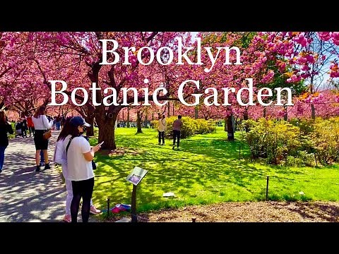 Tour of Brooklyn Botanic Garden