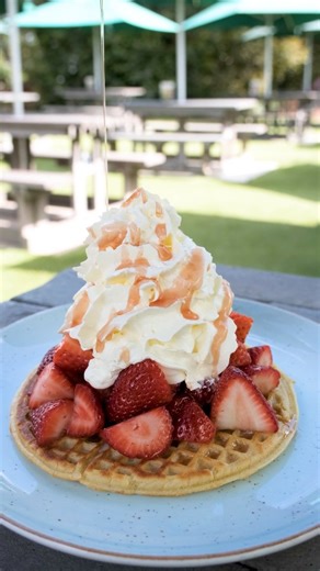 80 reactions · 5 comments | 헧헿헲헮혁 혆헼혂헿혀헲헹헳!✨ Enjoy a delicious waffle topped with fresh strawberries, a drizzle of strawberry syrup, and your choice of cream or ice cream. Join us at the Tea Garden, Redberry Farm and indulge in this berry-delicious delight!  | Redberry Farm | Facebook