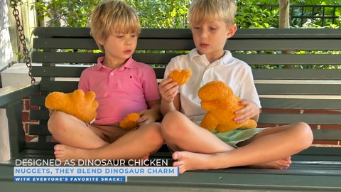 T-Rex Dino Nugget Pillow Set – Mini 10.5 - Inch Dinosaur Chicken Nugget Pillow & 4-Inch Dinosaur Backpack Pull or Keychain – Dino-Themed Parties