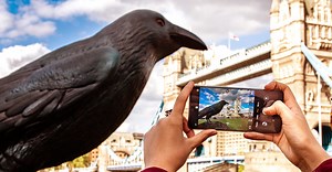 Huawei P20 Pro: Update für mehr Sicherheit & Kameraoptimierung