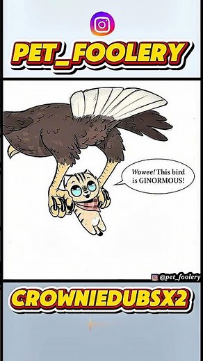 Pixie Thinks It’s Cute… BIG Mistake 😱😂 | Funny Comics Dub (Pet Foolery) #comicdub #comics #comedy