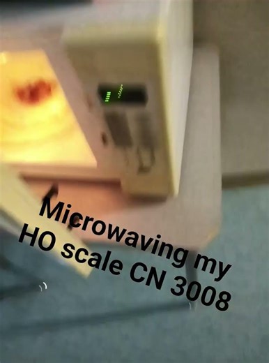 Microwaving my HO scale CN 3008 #shorts #cn #funny #microwave