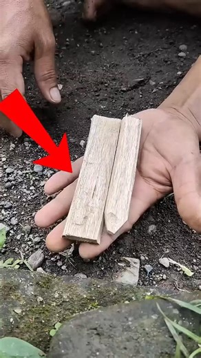 How To Make Fire Using ONLY 2 Pieces Of Raw Wood!#survival #shorts