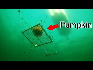 Pumpkin Implosion at 600ft Deep???
