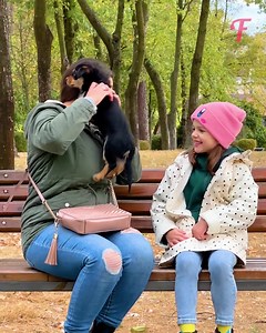 427K views · 6.4K reactions | Une mère change d'avis sur le chiot sauvé d'une jeune fille | Fabiosa - Rendez-le plus facile | Facebook