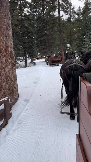36K views · 715 reactions | Lone Mountain Ranch, Big Sky Montana. This ranch offers a horse sleigh ride that takes you through the trees into a small lantern lit cabin for dinner! #bigsky #montana #sleighride #wintertravel | The National Park Travelers | Facebook