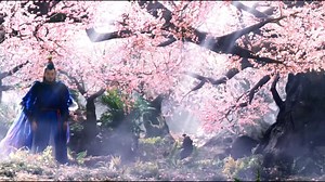 三生三世十里桃花