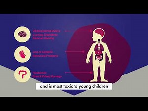 Lead Safe Virginia: Protect your family