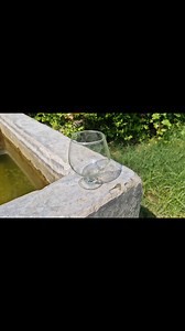 How To Grow Betel leaf Plant From Cutting In Water | Team Garden