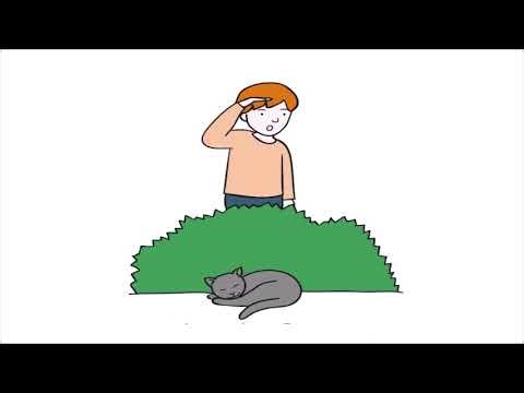 Actions 2- for the A1 CAMBRIDGE MOVERS EXAM