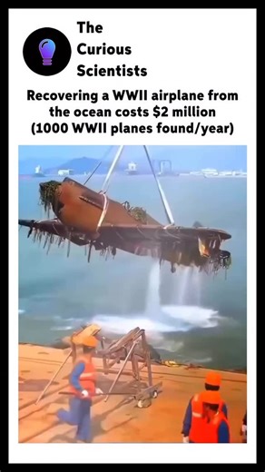 Science | Interesting | How it works on Instagram: "Some airplanes recovered from oceans are so well-preserved that they’ve been restored to flying condition, like WWII aircraft lifted from lakes or deep waters. Others reveal incredible stories, such as solving decades-old mysteries, finding ghost fleets, or even being used as artificial reefs for marine life. #airplane #ww2 #ocean #cost #recovering #airplanelovers #aircraft #sciencefacts #didyouknowfacts #didyouknow"