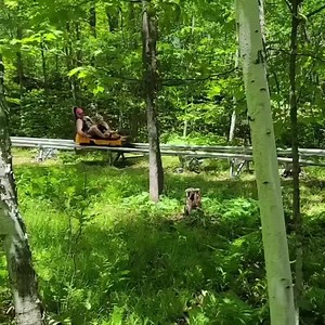 24K views · 665 reactions | Ride the alpine coaster @spiritmtduluth ・・・ Did you know that when you take a ride on the alpine coaster you have complete control of your speed up to 26 mph. There really isn't anything else like it in the area! If you haven't tried it yet you are definitely missing out! #SeeYouAtSpirit #destinationduluth #befromduluth | Destination Duluth | Facebook