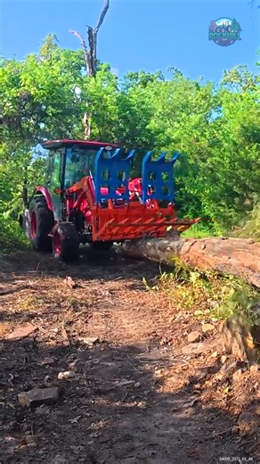 Dragging a TREE Out of the Woods #felledtree #trees #farmlife | Rockhill Farm - Tractors, Firewood, and Excavating