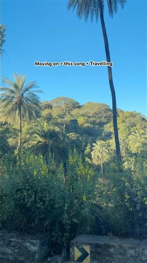 Travelling helps you to move on 🛅 #roadjourney #alternativeroutes #longtrip #journey #viral