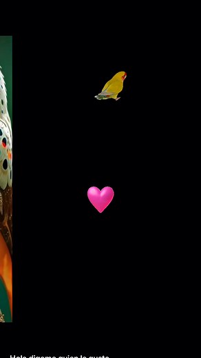 Glenda Beatriz on Reels