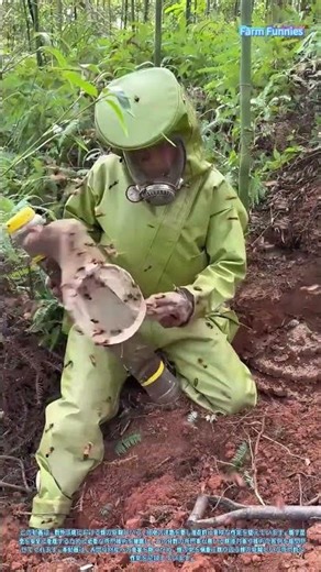 蜂の駆除技術：野外における刺す昆虫の管理