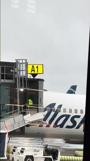 You Can See Every Gate From One Spot — Paine Field, Everett