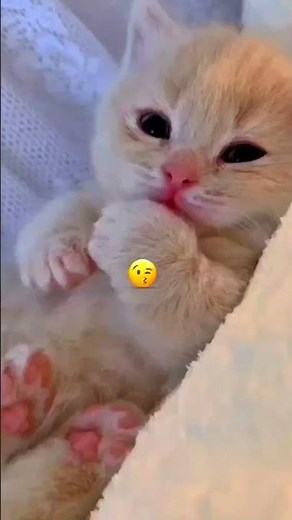 الراجل ده كسب آلاف!😳💵