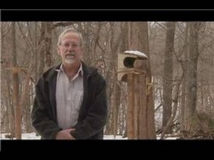 Bird Watching : Hummingbird Migration Routes