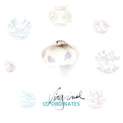 Eyvind Kang - Virginal Co Ordinates