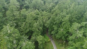 153K views · 180 reactions | Ready to try health and safety differently? Find out more about SafePlus. | WorkSafe New Zealand | Facebook