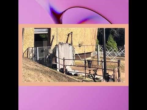 Predators and Grazers of the Plains