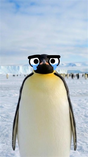 This Penguin has the Worst Love Life #shorts