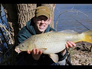 Catching carp with corn in Virginia