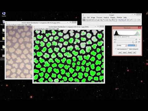 How to do Image Thresholding in ImageJ