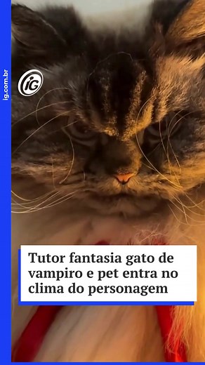 Gato Maléfico em Ação: Um Vilão da Fantasia