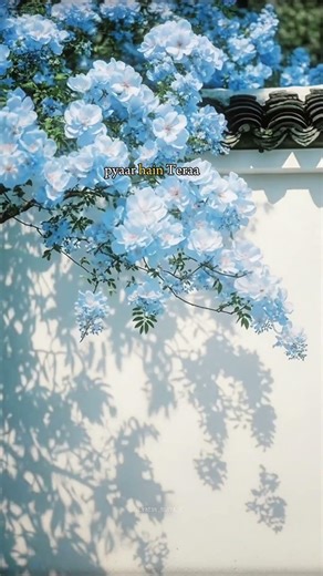 sagar jaisi pyas ha meri...🩵🥺#love #song #whatsappstatus #shortvideo #shorts #glowup #glow #trending