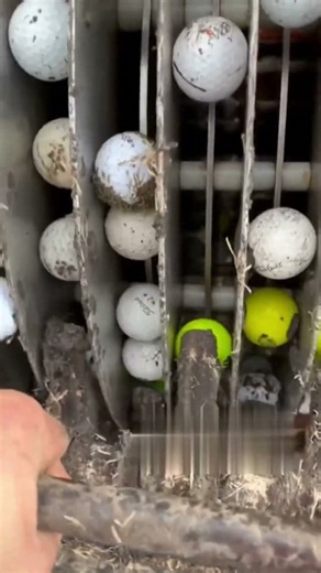 How Golf Courses Recover Thousands of Lost Golf Balls 🏌️