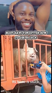 532K views · 2K reactions | Must have forgotten how to use a jack | Jax Farm | Facebook
