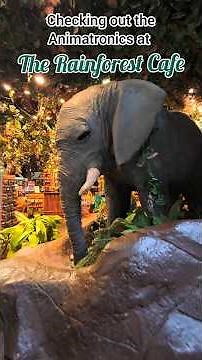 Rainforest Cafe Animatronics 🐊🐘🌿