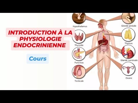 PRINCIPES PHYSIOLOGIQUES DU CONTROLE HORMONAL