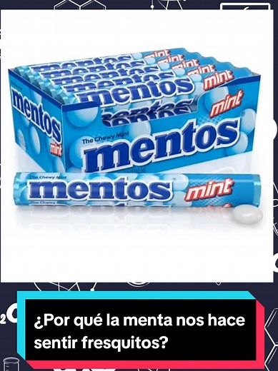 Descubre por qué la menta refresca tu boca