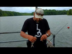 Fishing at Williamsport Lakes