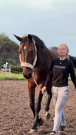 aleksa_acz na TikTok